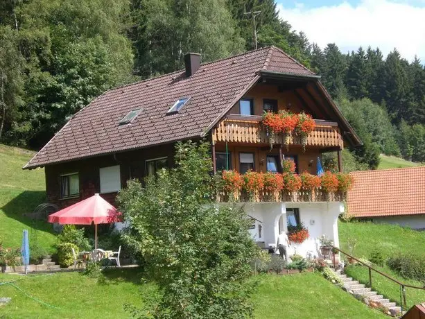 Haus am Wald Baiersbronn 