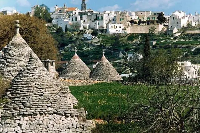 Rental House in Cisternino 