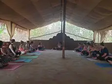 Banyan Tree Yoga 