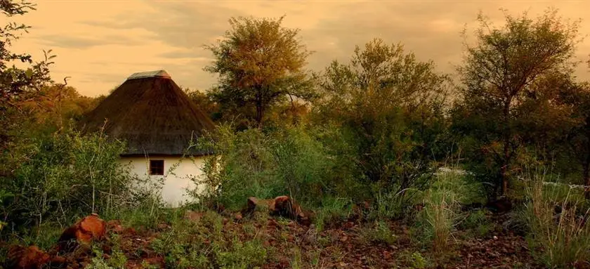 Mbizi Bush Lodge 