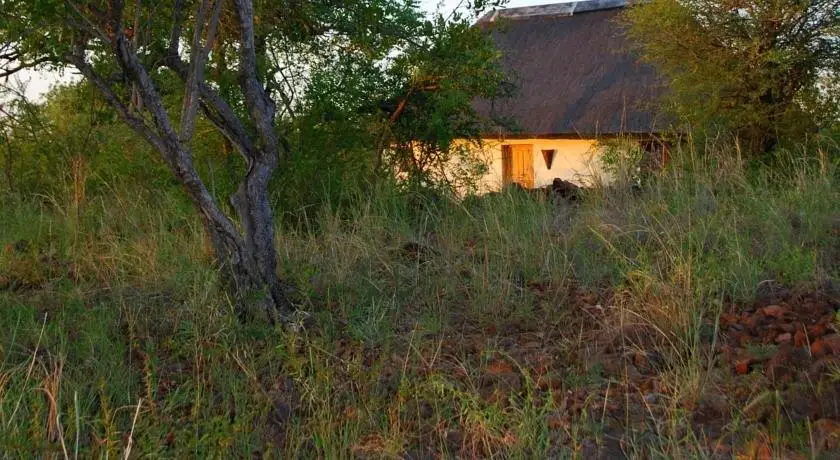 Mbizi Bush Lodge 