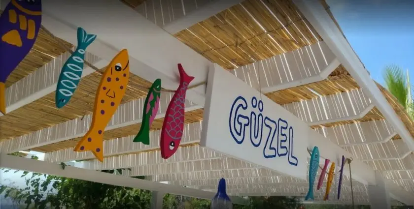 Guzel Hotel