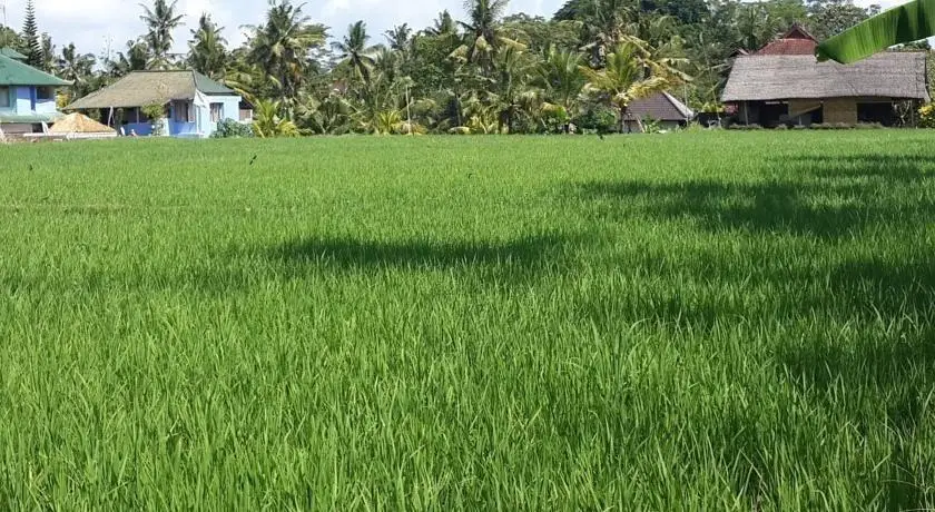 Jepun and Sandat Bali Villa 