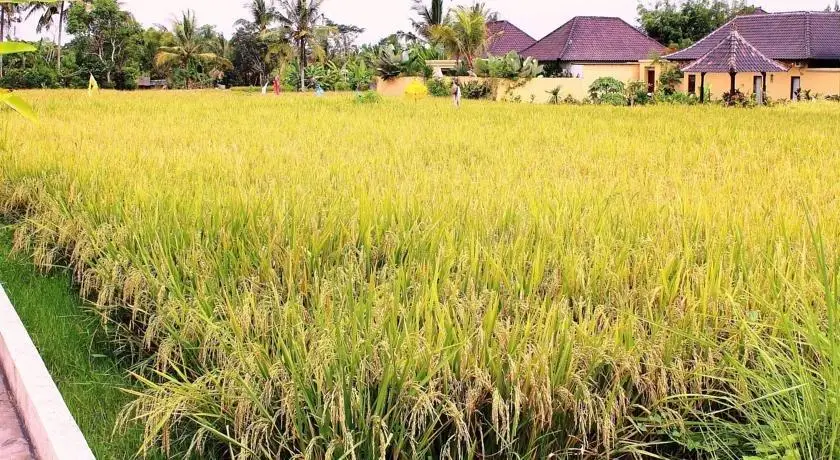 Jepun and Sandat Bali Villa 