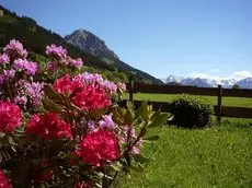 Gastehaus Alpina Oberstdorf 