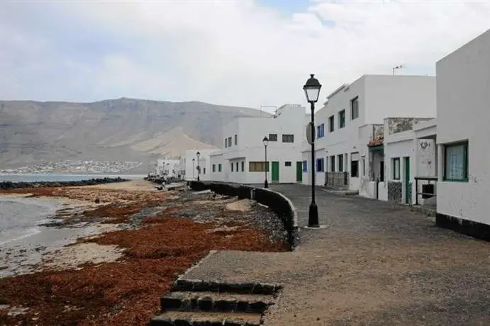 Colibri Caleta de Famara