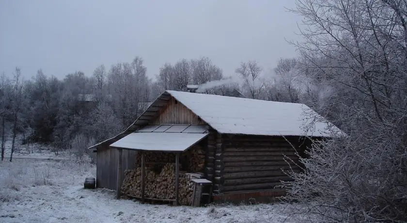 Cottage in Enkolovo 