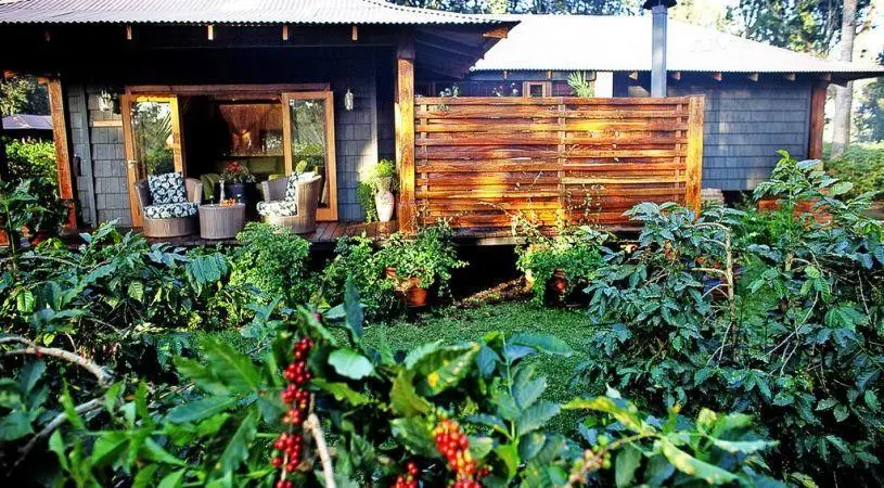 Arusha Coffee Lodge 