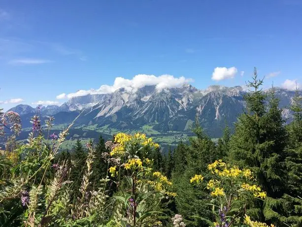 Ferienhaus Johanna Schladming 