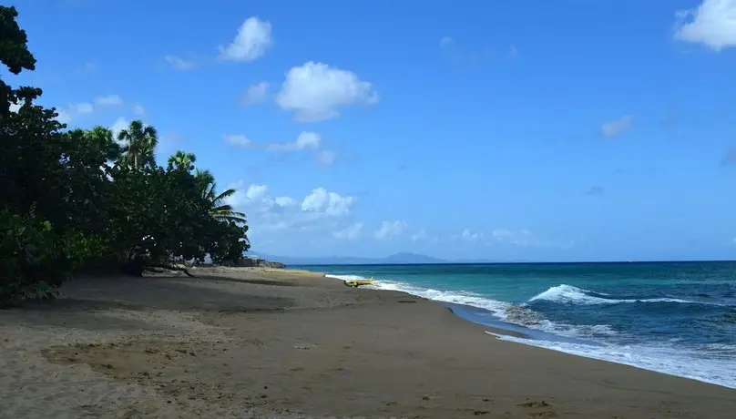 Garden By The Sea 