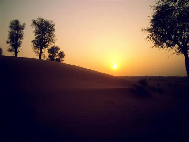 Bedouin Oasis Camp