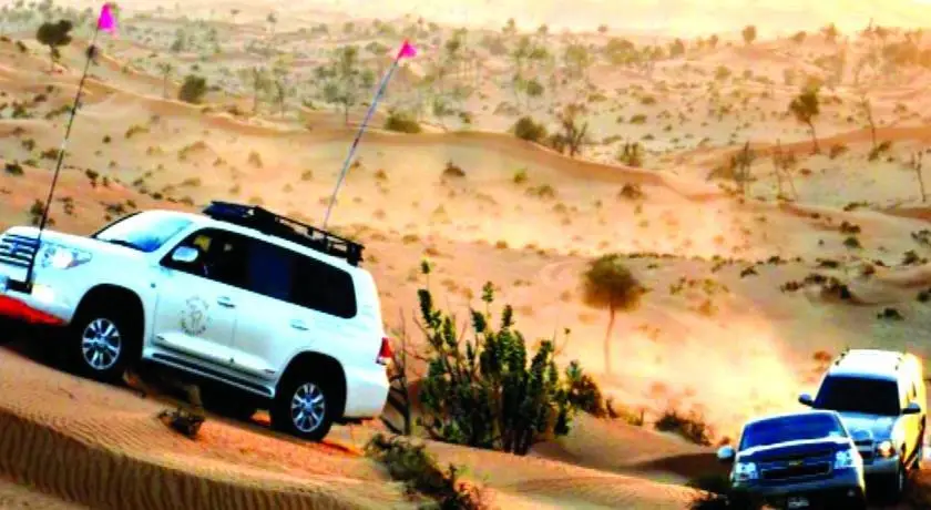 Bedouin Oasis Camp 