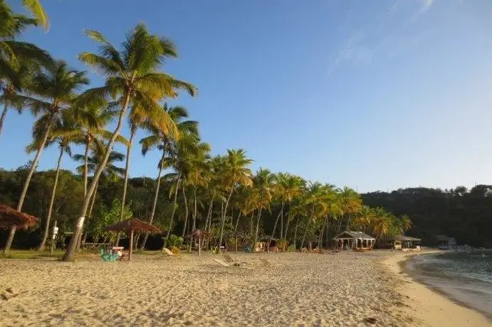 Homestay - Bohemian Shack in Paradise