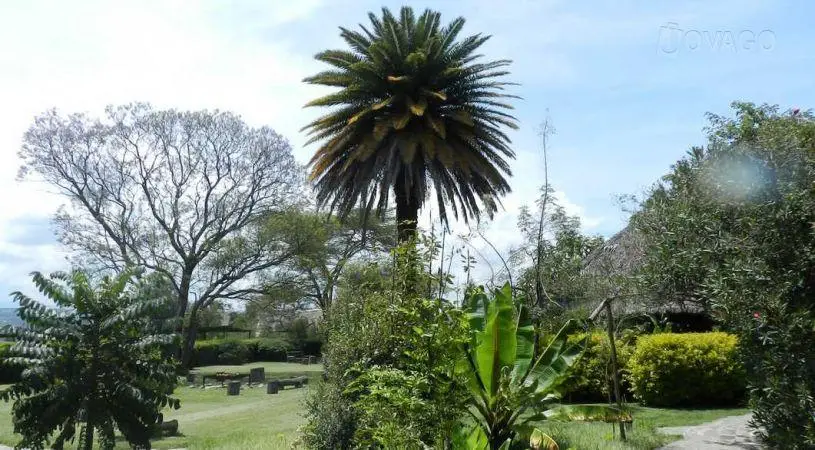 Flamingo Hill Tented Camp 