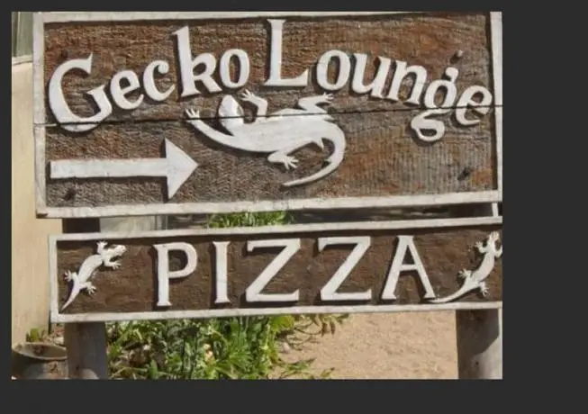 Gecko Lounge 