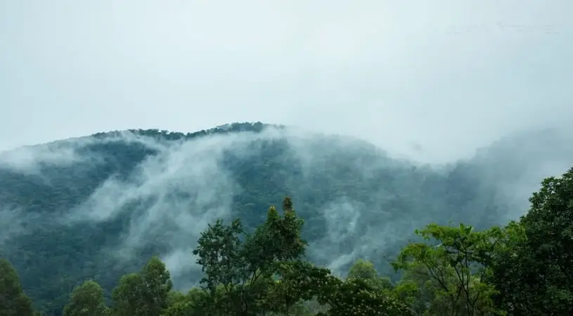 Silverback Lodge