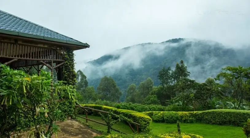 Silverback Lodge