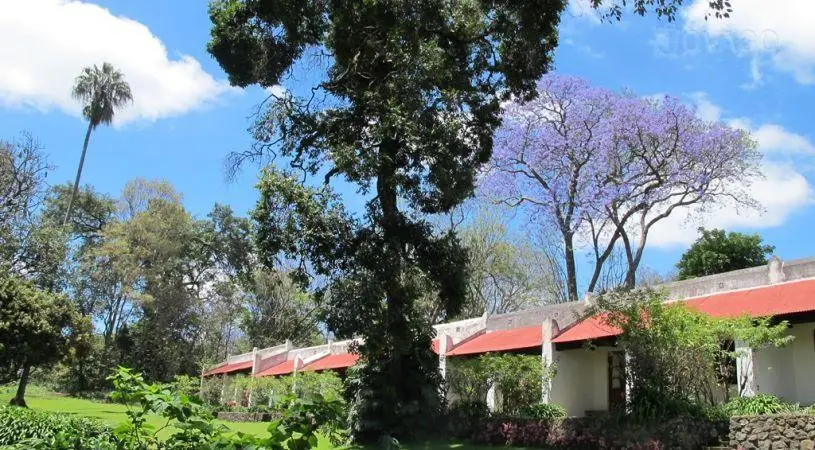 Ngare Sero Mountain Lodge