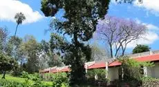 Ngare Sero Mountain Lodge 