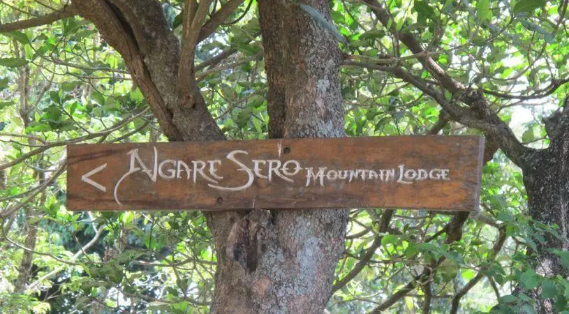 Ngare Sero Mountain Lodge