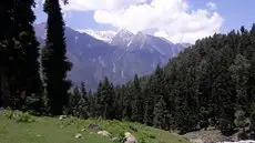 Angel's Inn Pahalgam 