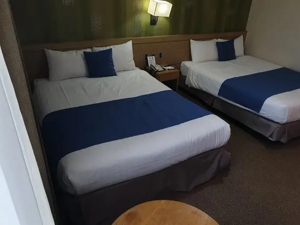 Benikea Hotel Jeju 