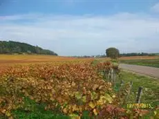 Holiday home Gite des Hautes Cotes de Beaune 