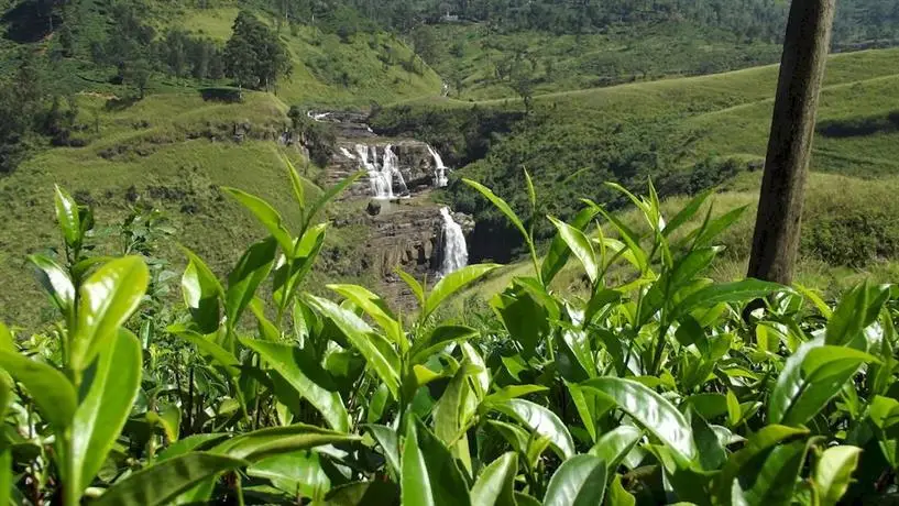 The Waterfall Villas by Yoho 