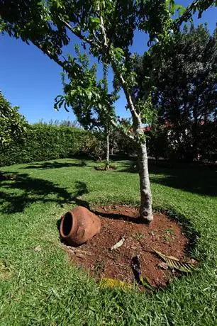 Casa do Ribeirinho 