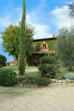 La Collina Bucine 