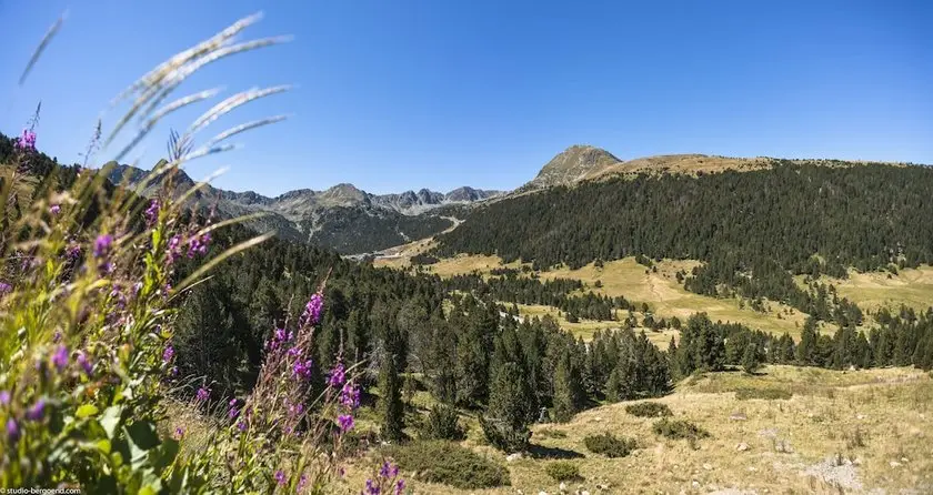 Pierre & Vacances Andorra Bordes d'Envalira 