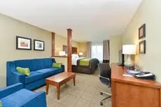 Comfort Inn & Suites- Rochester 