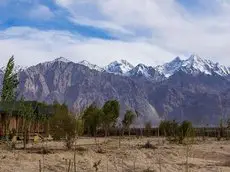 Nubra Ecolodge 