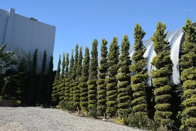 Hotel Pacific Tijuana 