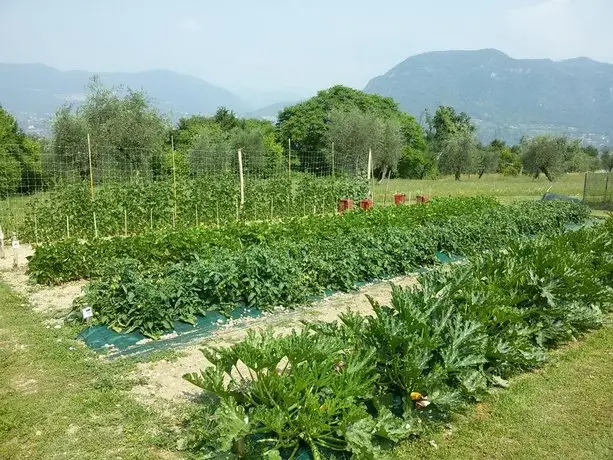 Agriturismo la Scala 