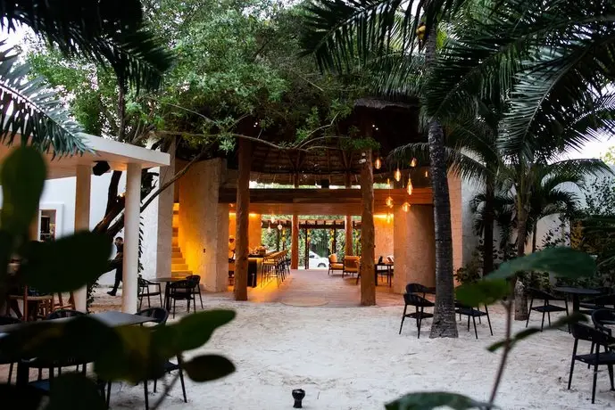 Coral Tulum 