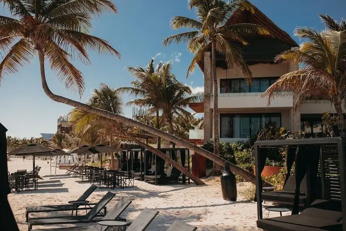 Coral Tulum 