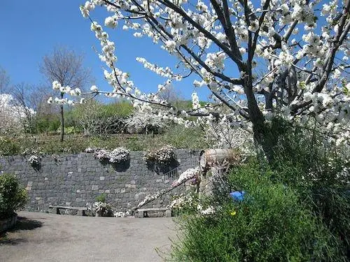 La Pietra Antica O' Munti 