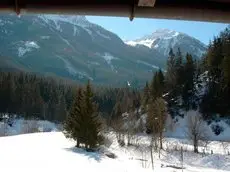 Haus Erika Wald im Pinzgau 