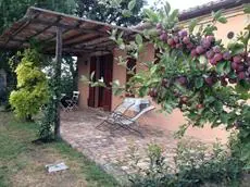 Bed & Breakfast Villa Marchesa 