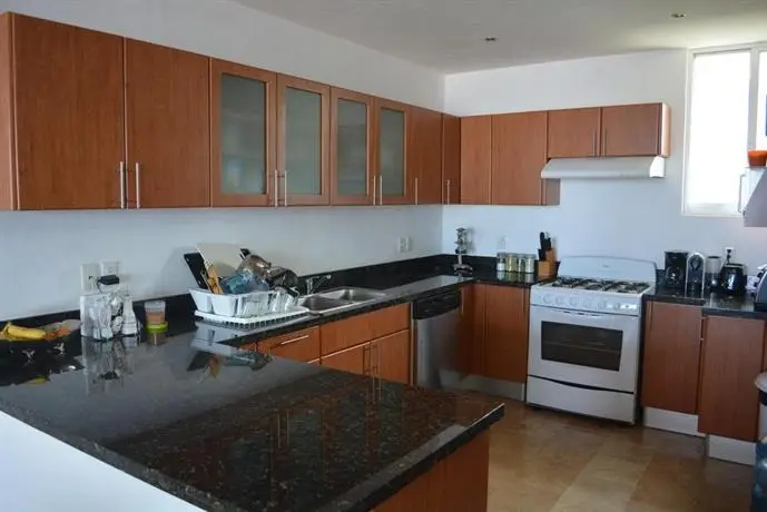 2br Ocean View Condo Downtown Pv 