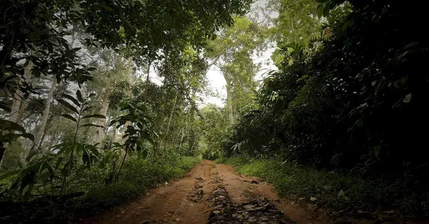 Eco Tones Munnar 