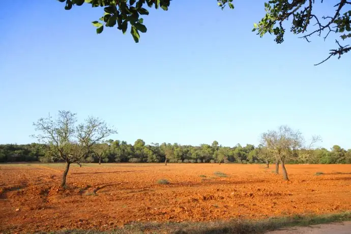 Can Cotoneta Campos 