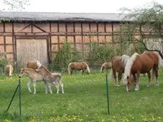 Ferienwohnung Siebmann 