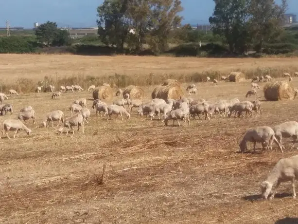 Agriturismo Margherita Sassari 