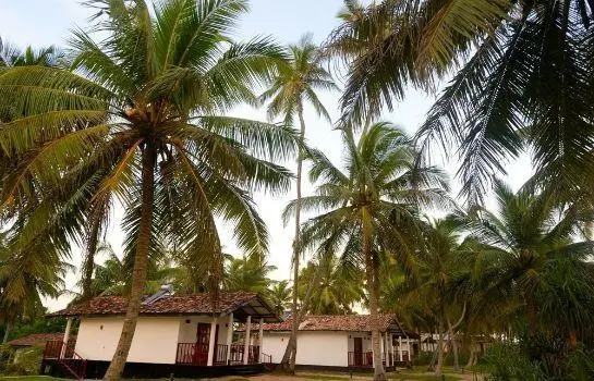 Darwins Beach Resort 