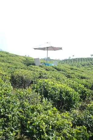 Singtom Tea Estate & Resort 