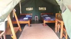 Bushara Island Camp 