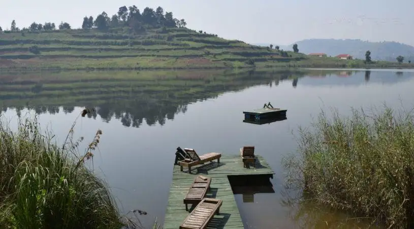 Bushara Island Camp 