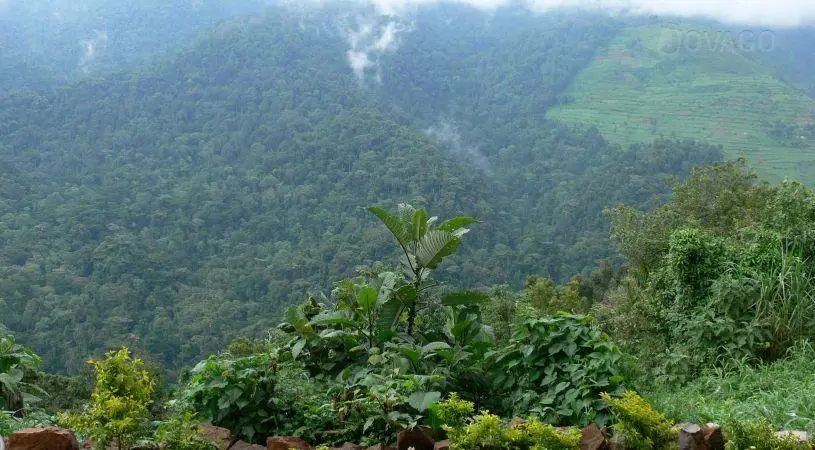 Bwindi Hostel/Backpackers Lodge 